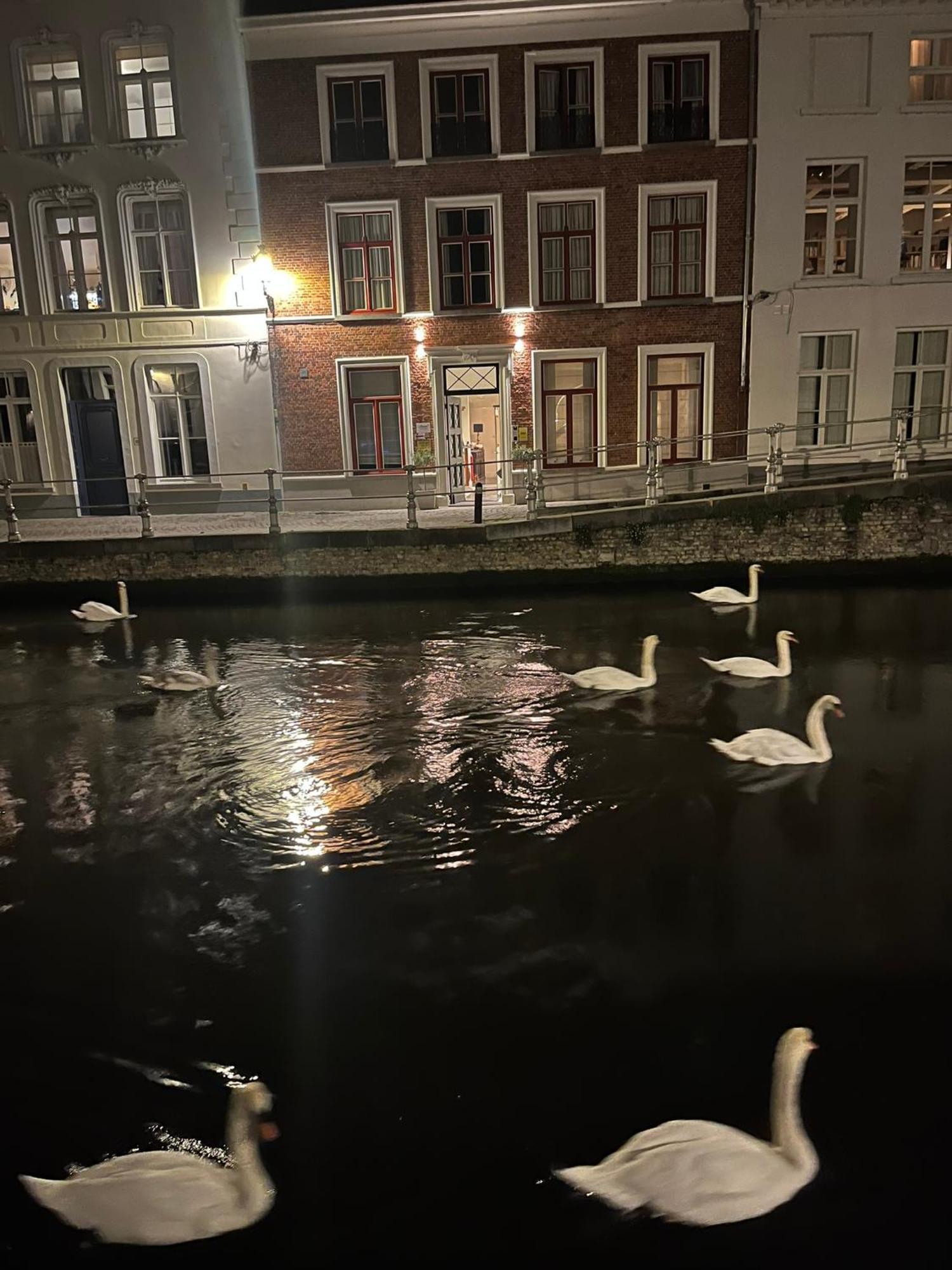 B&B Anna9 Bruges Exterior foto